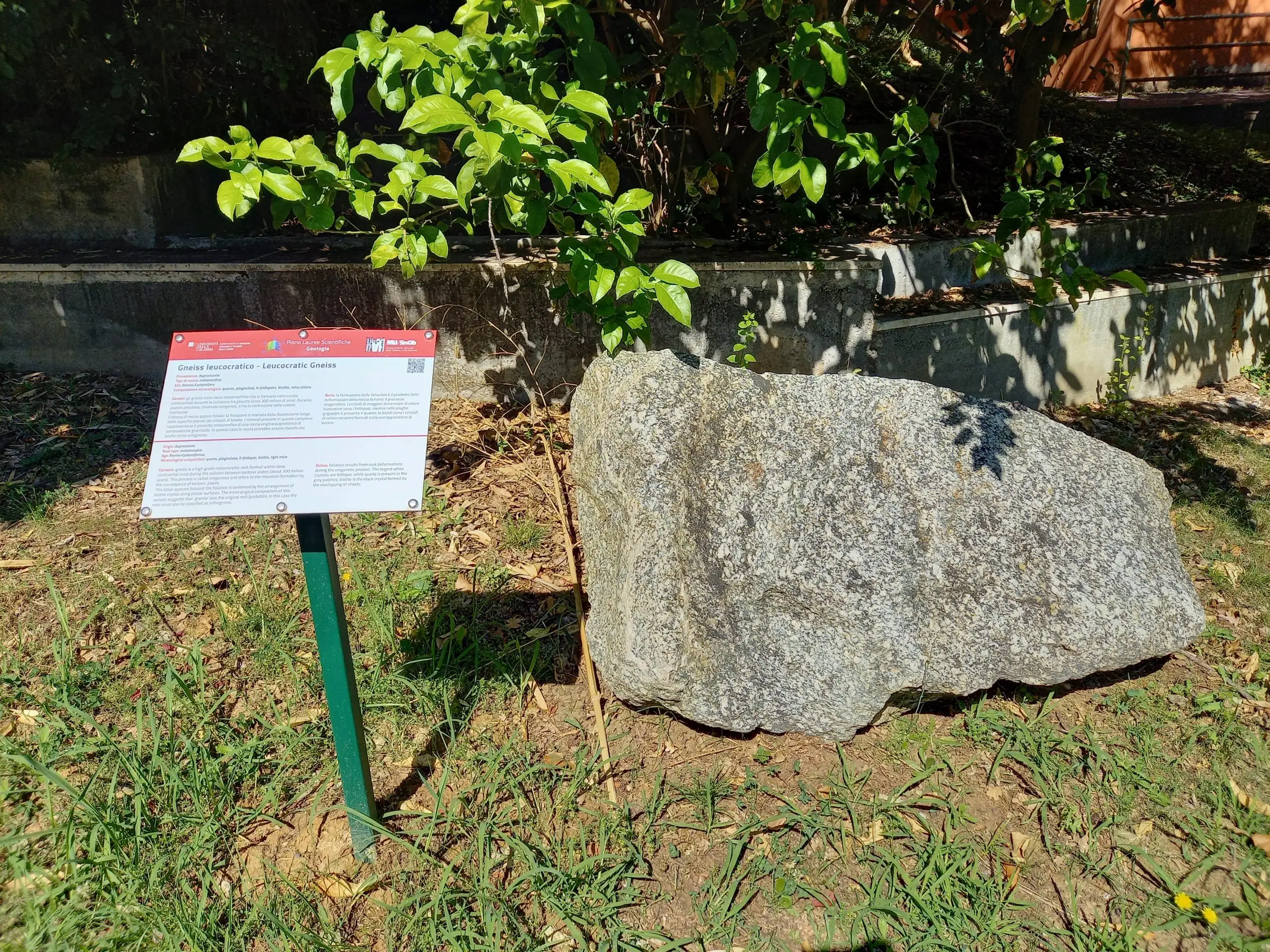 Gneiss leucocratico Gneiss leucocratico