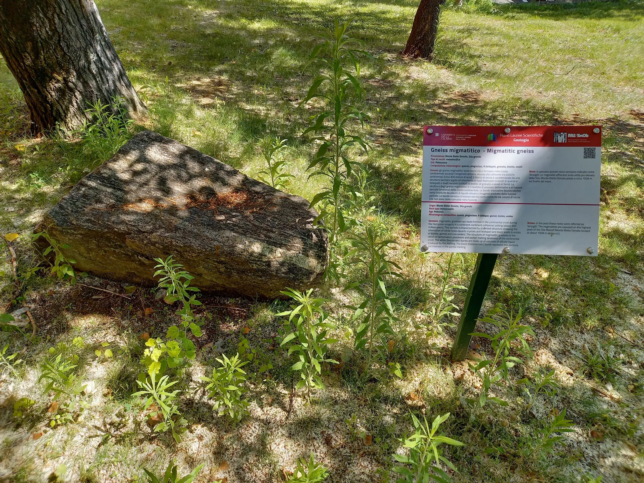 Gneiss migmatitico – Migmatitic gneiss