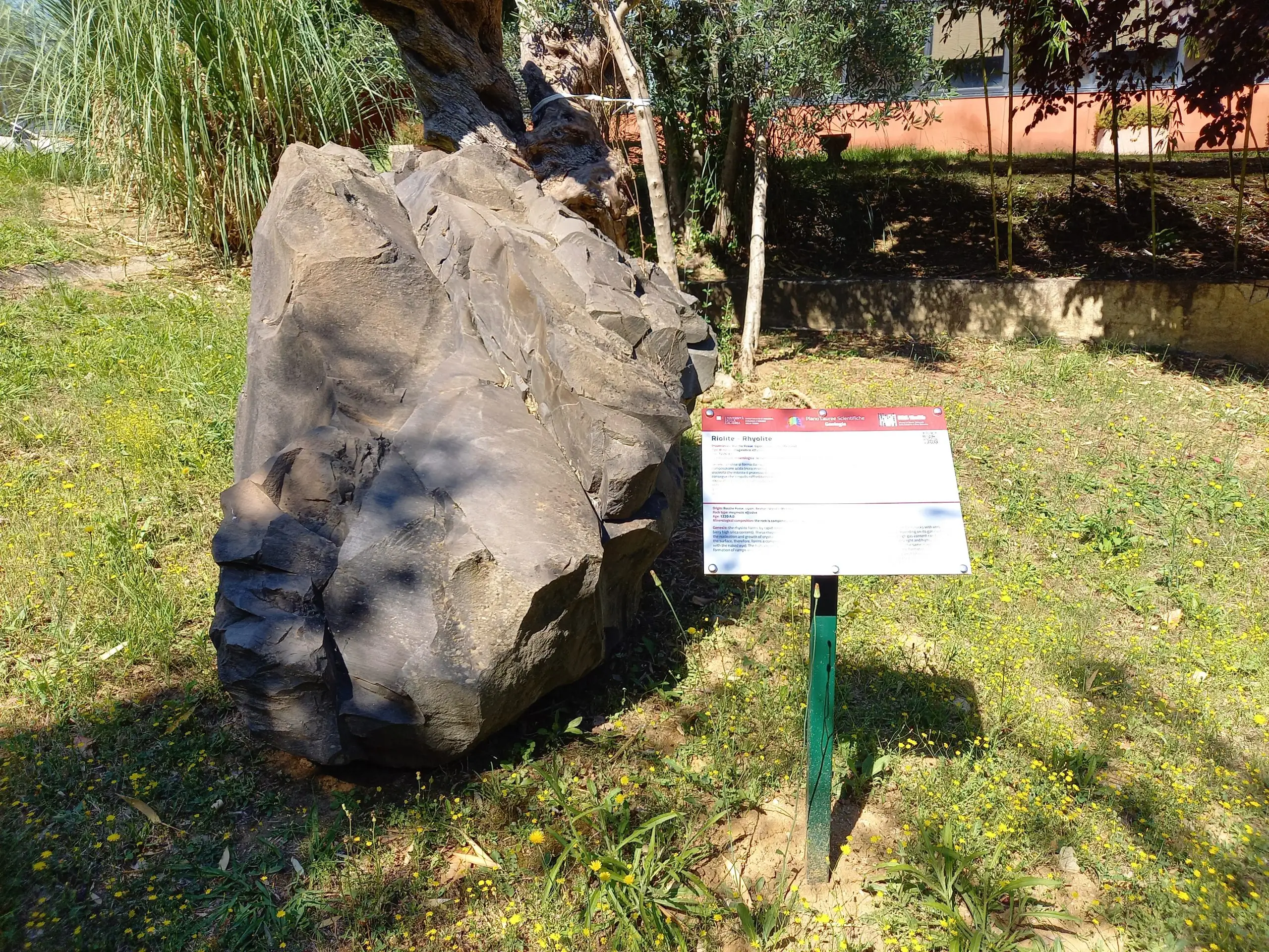 Riolite – Rhyolite Riolite – Rhyolite