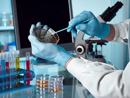 Il DiBEST per le scuole - Biologia e Scienze e tecnologie Biologiche