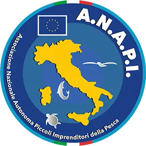ANAPI logo anapi master imbrogno